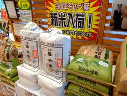 農家自慢の米が並ぶ道の駅京都新光悦村