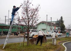 清掃奉仕をする会員ら